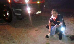 İtfaiyeden Gece Yarısı Yavru Köpek Kurtarma Operasyonu