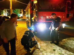 İtfaiyeden Gece Yarısı Yavru Köpek Kurtarma Operasyonu