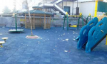 PARKLARIMIZIN KIYMETİNİ BİLMİYORUZ…