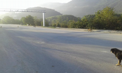 Tıkanan Kanalizasyon Temizlendi