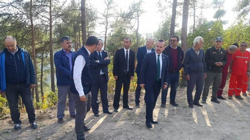 DAHA YEŞİL BİR TARAKLI İÇİN...