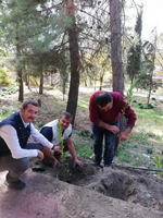 DAHA YEŞİL BİR TARAKLI İÇİN...