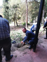 DAHA YEŞİL BİR TARAKLI İÇİN...
