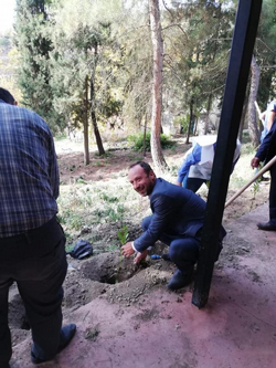 DAHA YEŞİL BİR TARAKLI İÇİN...