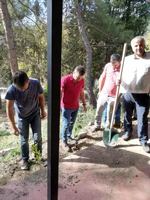 DAHA YEŞİL BİR TARAKLI İÇİN...