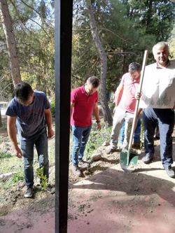 DAHA YEŞİL BİR TARAKLI İÇİN...