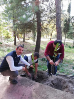DAHA YEŞİL BİR TARAKLI İÇİN...
