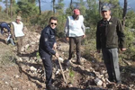 DAHA YEŞİL BİR TARAKLI İÇİN...