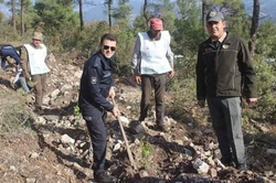 DAHA YEŞİL BİR TARAKLI İÇİN...