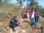 DAHA YEŞİL BİR TARAKLI İÇİN...