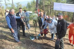 DAHA YEŞİL BİR TARAKLI İÇİN...