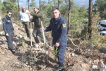 DAHA YEŞİL BİR TARAKLI İÇİN...