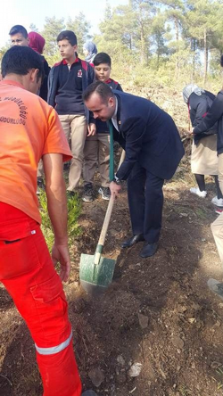 DAHA YEŞİL BİR TARAKLI İÇİN...