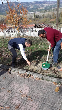 DAHA YEŞİL BİR TARAKLI İÇİN...