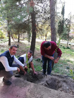 DAHA YEŞİL BİR TARAKLI İÇİN...