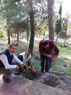 DAHA YEŞİL BİR TARAKLI İÇİN...