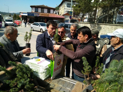 Taraklı’da Vatandaşlara Fidan Dağıtıldı