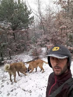 2 Köpeğide Kayıp