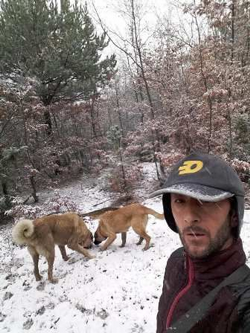 2 Köpeğide Kayıp