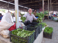 Taraklı'da Asma Yaprağı Piyasaya Çıktı