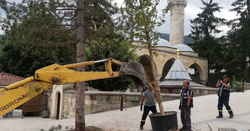 MEYDANDA KURUYAN AĞAÇLAR SÖKÜLEREK YERİNE ÇINAR AĞAÇLARI DİKİLDİ.