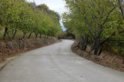 Büyükşehir'den Beton yol çalışması
