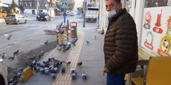 Her Sabah Güvercinlere Yem Veriyor