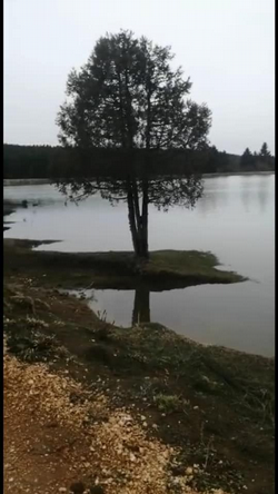 Mavi ve Yeşil'in Muhteşem Uyumu