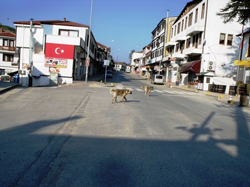 TARAKLI’DA TÜM TEDBİRLER UYGULANIYOR