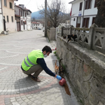 Sokağa çıkma yasağında sokak hayvanlarını unutmadılar