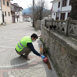 Sokağa çıkma yasağında sokak hayvanlarını unutmadılar