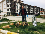 Sokağa çıkma yasağında sokak hayvanlarını unutmadılar