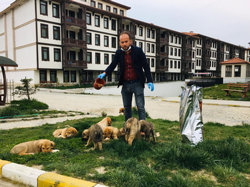 Sokağa çıkma yasağında sokak hayvanlarını unutmadılar