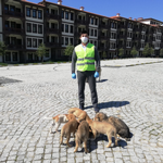 Sokağa çıkma yasağında sokak hayvanlarını unutmadılar
