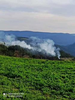 İçdedeler Karabıyır Mevkiinde Korkutan Orman Yangını