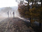 İçdedeler Karabıyır Mevkiinde Korkutan Orman Yangını