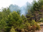 İçdedeler Karabıyır Mevkiinde Korkutan Orman Yangını