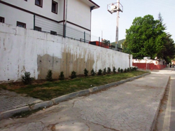 Leylandi Ağacı Dikildi