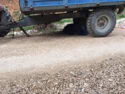 TRAKTÖR KAZASI: 1 ÖLÜ