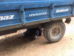 TRAKTÖR KAZASI: 1 ÖLÜ