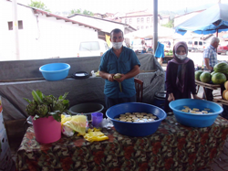 Pazarda Günlük Soyulmuş Enginar