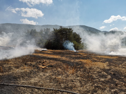 Taraklı'da Anız Yangını