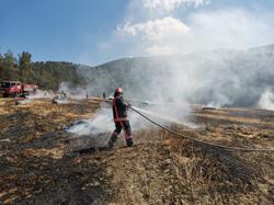 Taraklı'da Anız Yangını