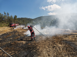 Taraklı'da Anız Yangını