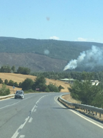 Yine Orman Yangını