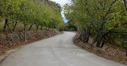 Sıkıştırılmış Beton Yol Çalışmaları Tamamlandı.