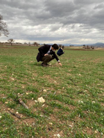 Taraklı’da Hububat Ekim Alanlarında kontroller yapıldı