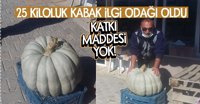 25 Kiloluk Kabak İlgi Odağı Oldu