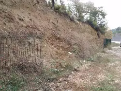 HIRSIZLAR MEZARLIĞA DADANDI...