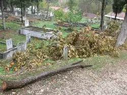 HIRSIZLAR MEZARLIĞA DADANDI...